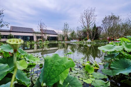 Pond villa demonstration area