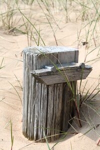 Nature summer coastal
