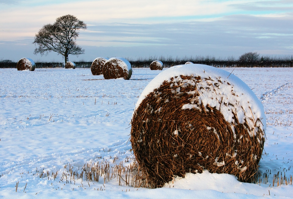 Landscape countryside outside