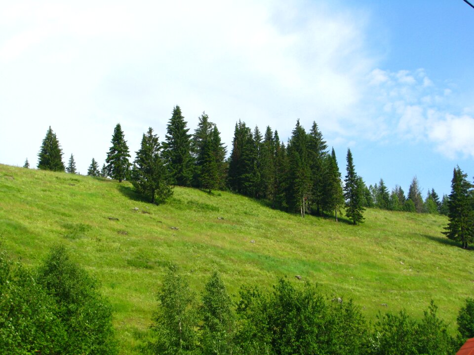 Landscape green beauty