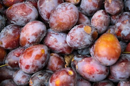 Fruit violet eat