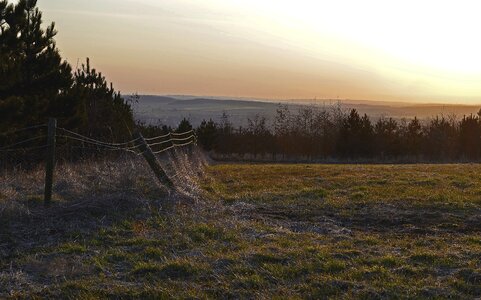 Grass frosty meadow