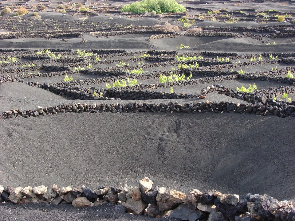 Lanzarote travel lava