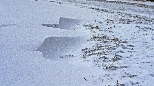 Nature snowfall landscape