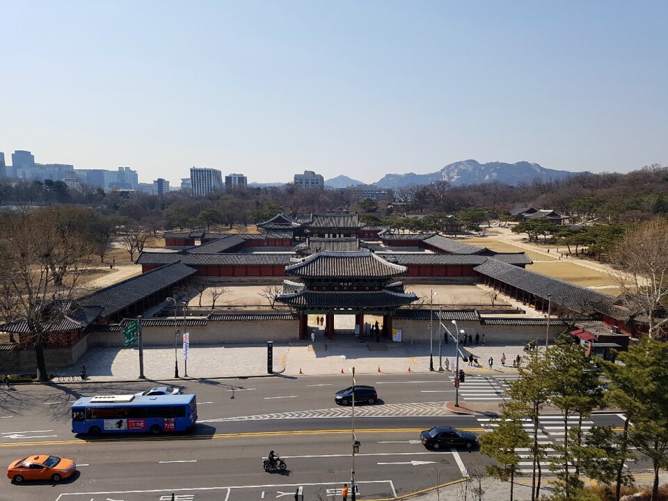 Safflower visitors korea culture tourist destination