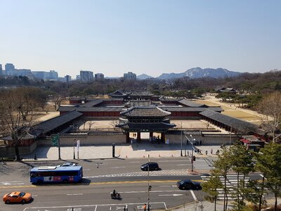 Safflower visitors korea culture tourist destination