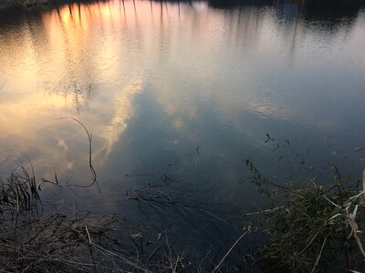 Reflection sunset pond