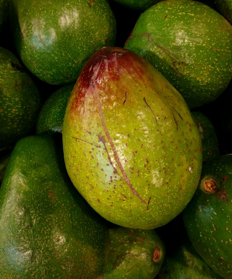 Green tropical natural