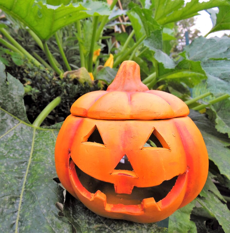 Autumn decoration happy halloween pumpkins autumn photo