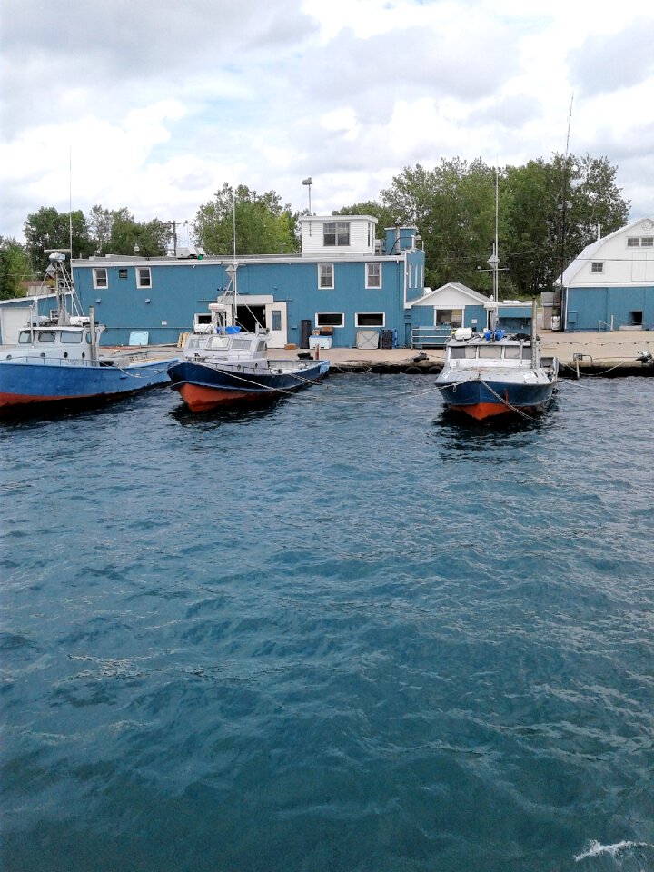 Water sailboat blue