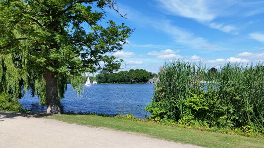 Sailing boats sky landscape