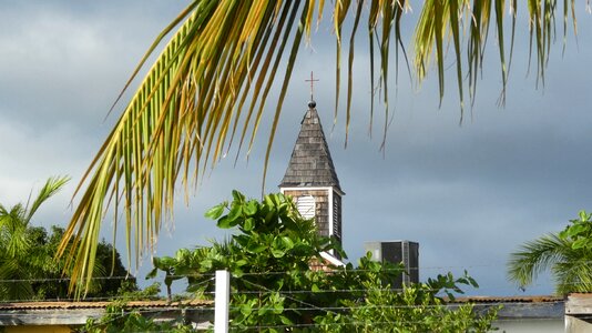 Palm trees church architecture photo