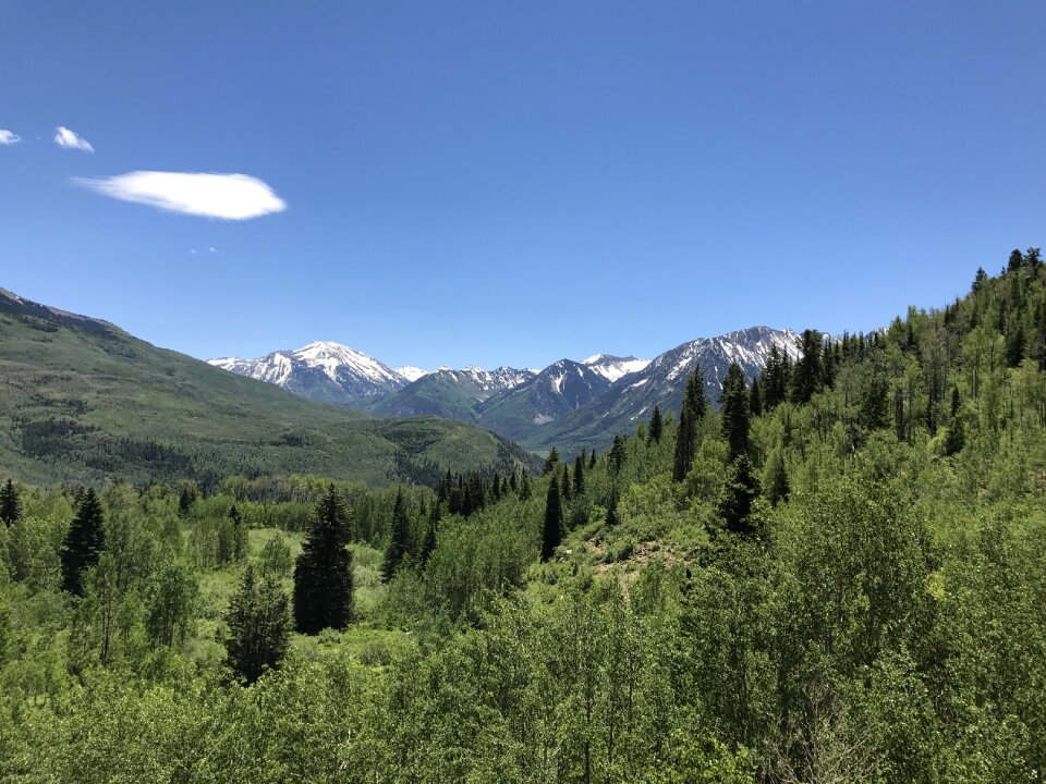 Bells maroon landscape