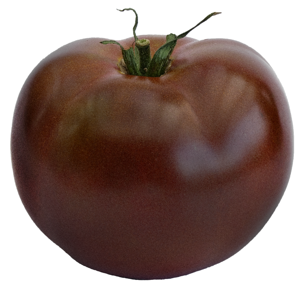 Solanum lycopersicum paradeisapfel grown