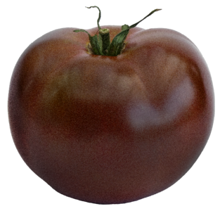 Solanum lycopersicum paradeisapfel grown