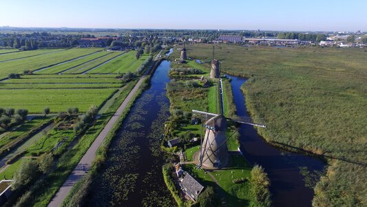 Landscape holland grass