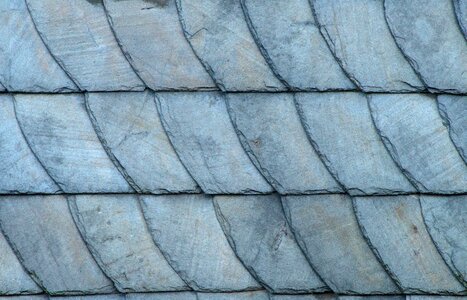 Roofing structure roof