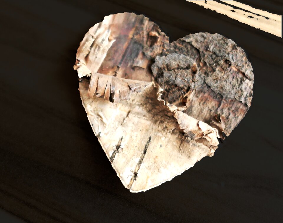 Affection wooden structure nature