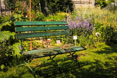 Out green wooden bench