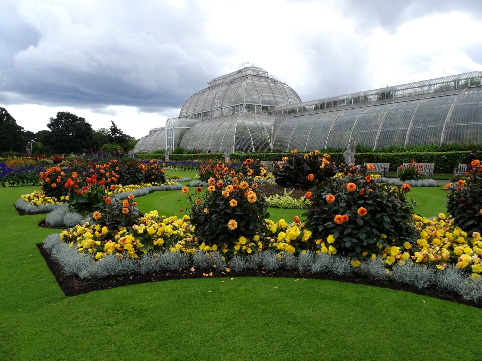 Greenhouse flowers