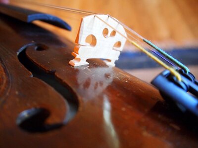 Classical classic stringed photo