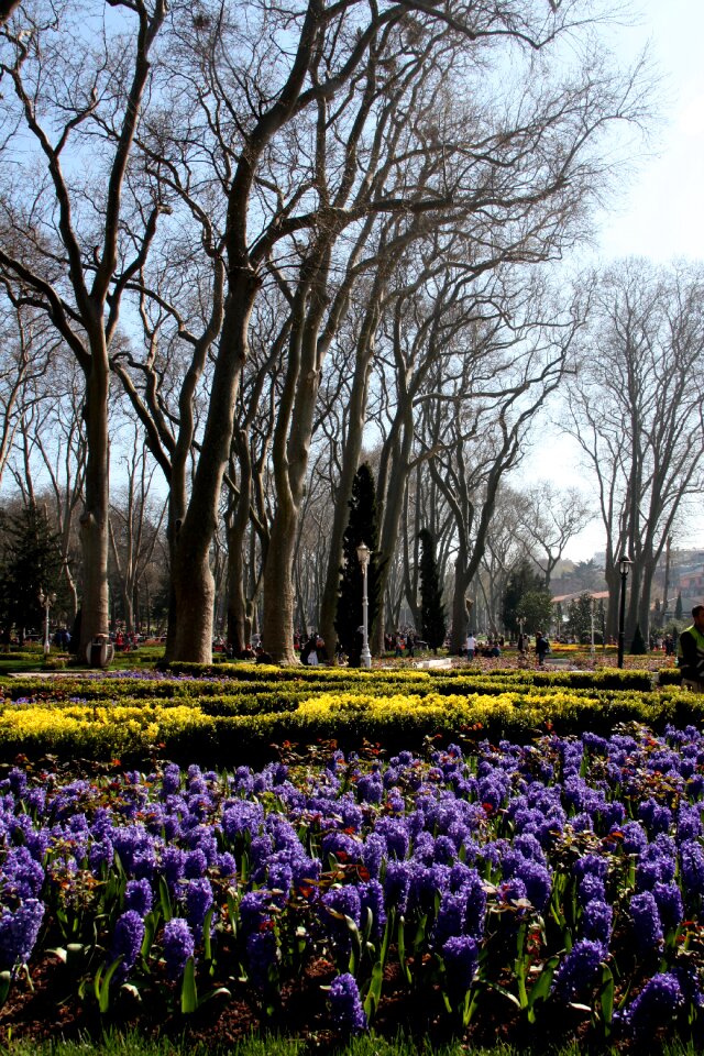 Peace beautiful istanbul