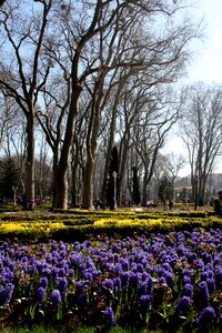 Peace beautiful istanbul