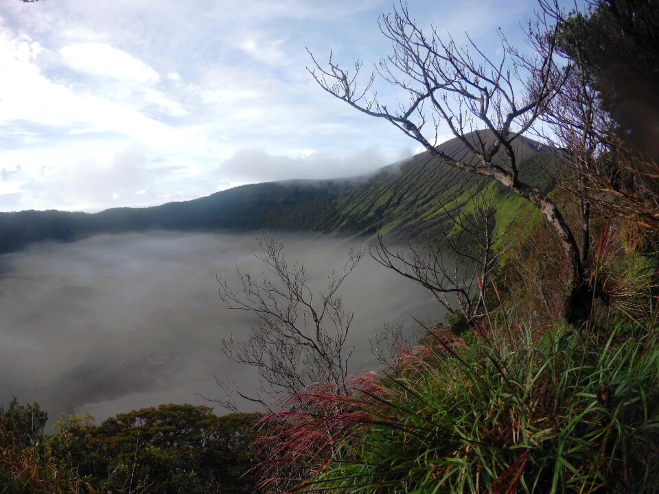 Grass philippines old crater
