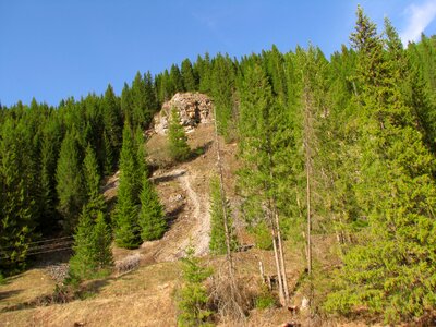 Landscape green beauty