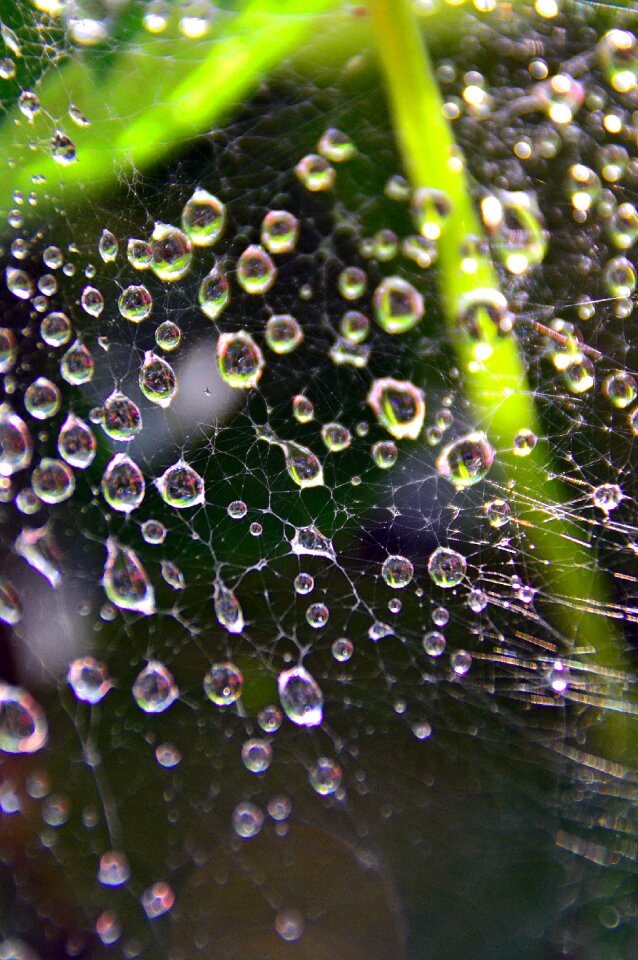 Rain drops water