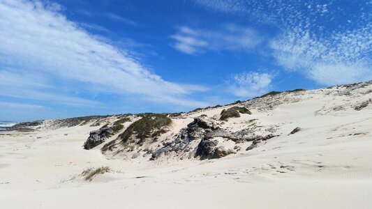 Tropical coast outdoor photo