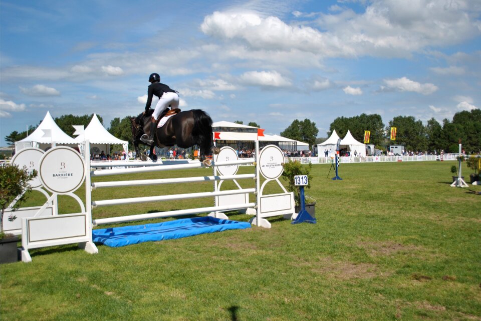 Competition france horse