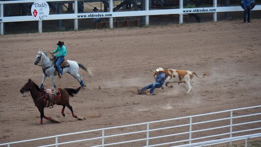 Rodeo united states horse photo