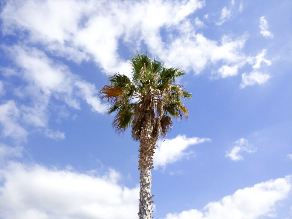 Clouds summer tropical