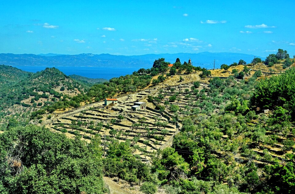 Greek agriculture landscape