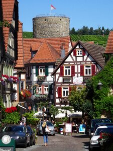 Baden württemberg enz vineyard