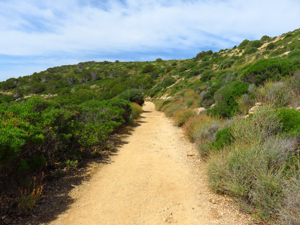 Landscape way lane meditation