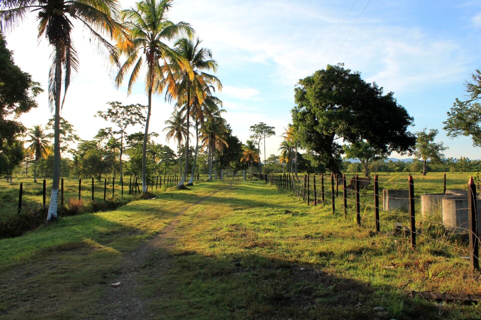 Dawn farm earth