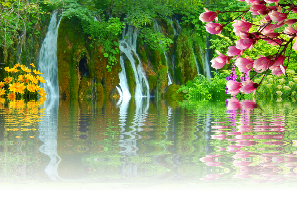 Nature waters river