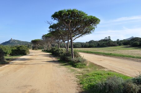 Sardinia landscape steinig photo