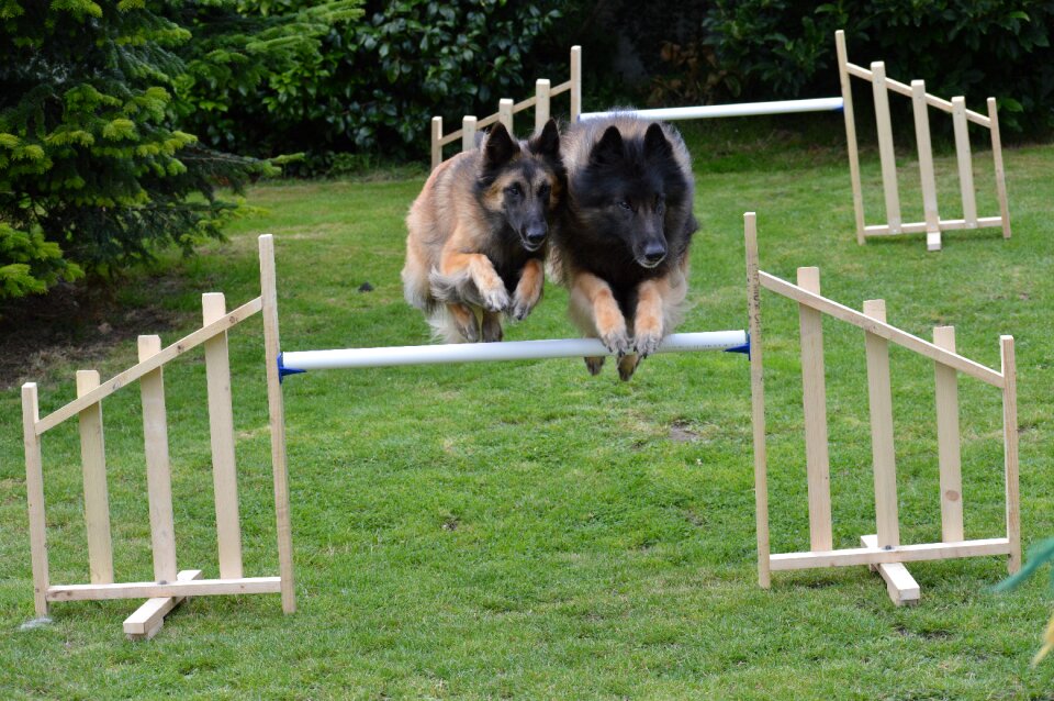Male jumping agility