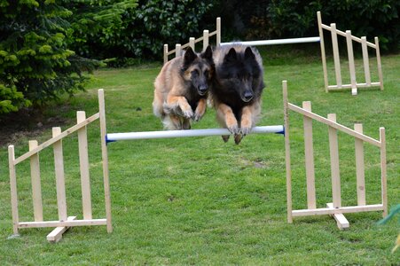 Male jumping agility photo