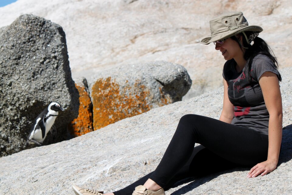 Penguin beach stones