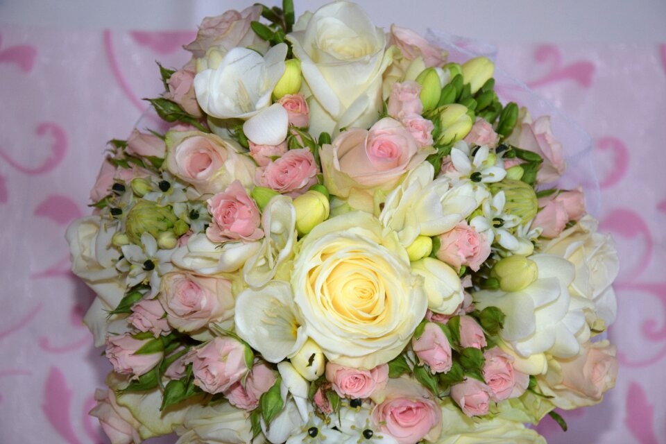 Romanticism rosy bride