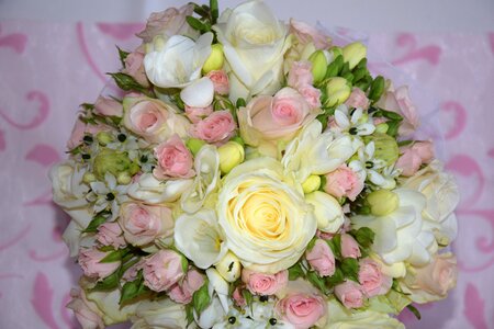 Romanticism rosy bride