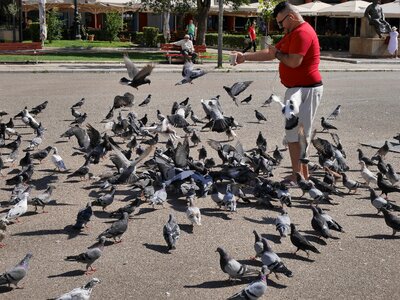 Europe mediterranean birds