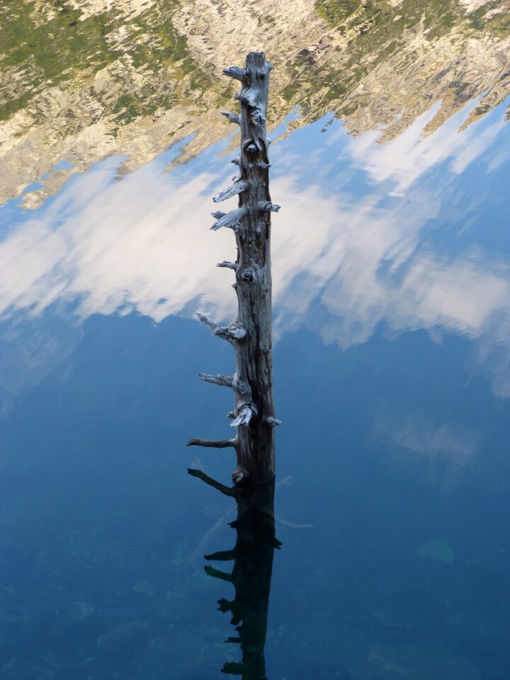Water pond reflection