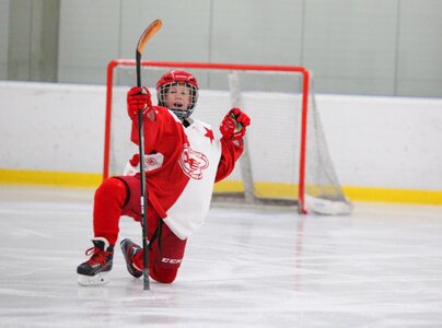 Hockey player winter winter sports