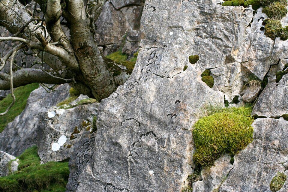 Rock nature
