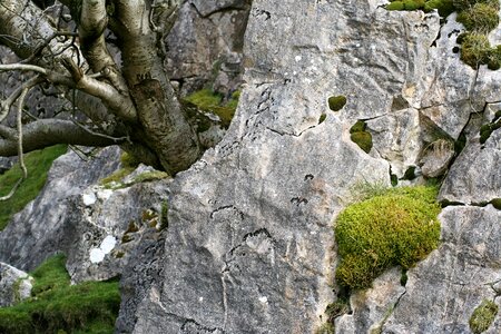 Rock nature